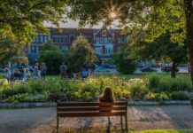 Why the Current Flight to Small Towns May Save America
